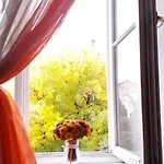 ратуша Львів