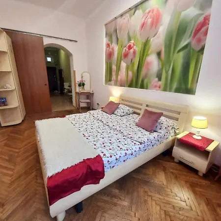 Ratusha Lägenhet Lviv